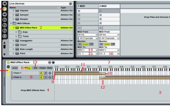 Ableton Live as Master Keyboard Rig Software