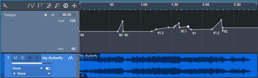 Graphic of the tempo changes for the song "My Butterfly."